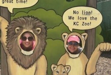 lion-coworkers-2